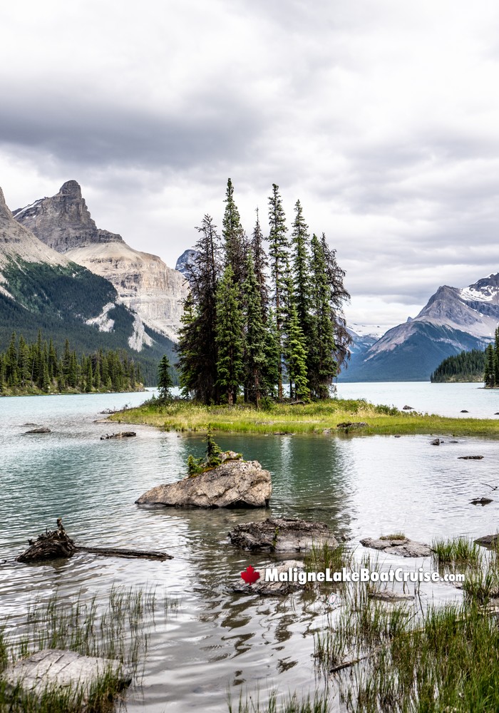 Maligne Lake Water Levels