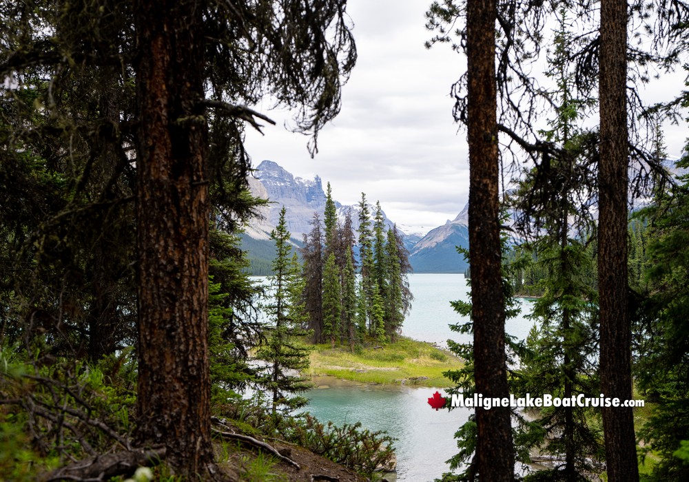 Spirit Island's Historical Significance