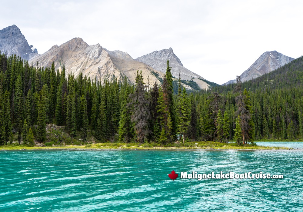 Maligne Boat Cruise Arriving to Spirit Island