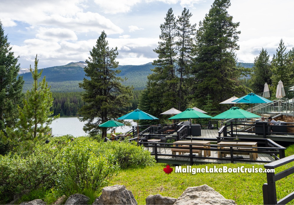 Outdoor Seating Benches Umbrellas Trees