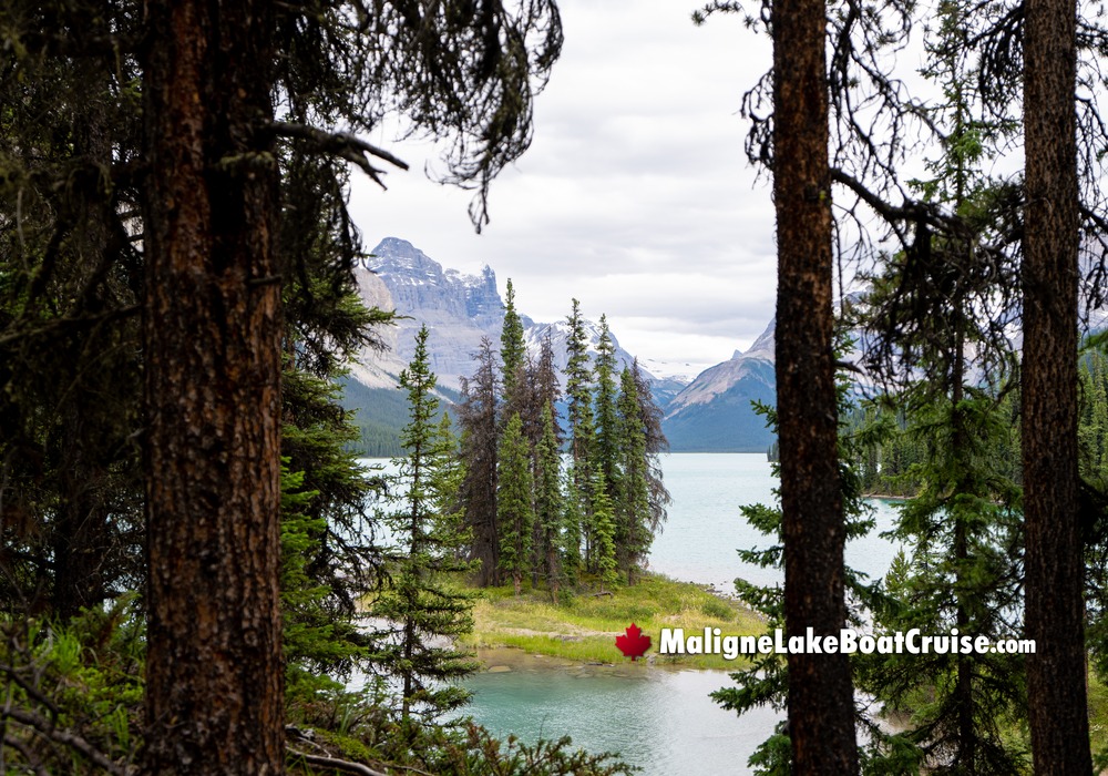 Maligne Lake Cruise Island Destination Through Trees
